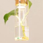 Lampes Suspendues Modernes à LED pour Plantes en Bois Bouteille en Verre Lustres Luminaire DéCor Industriel Lampe Suspendue éClairage – Image 2