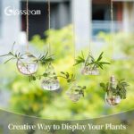 Jardinières Suspendues en Verre Récipients pour Plantes Aquatiques Terrarium Intérieur Extérieur 2 Trous 5 PiècesEnsemble avec des Cordes Corde... – Image 2
