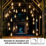Lampe suspendue avec batterie et télécommande, ampoule dorée avec batterie, lampe suspendue rétro à intensité variable, lampe... – Image 4