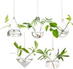 Jardinières Suspendues en Verre Récipients pour Plantes Aquatiques Terrarium Intérieur Extérieur 2 Trous 5 PiècesEnsemble avec des Cordes Corde...